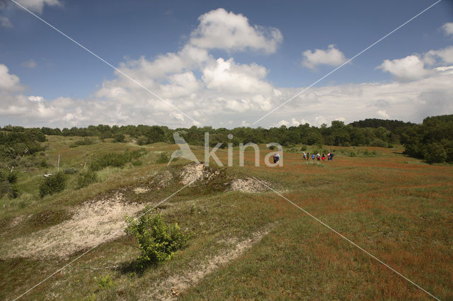 Zeepeduinen