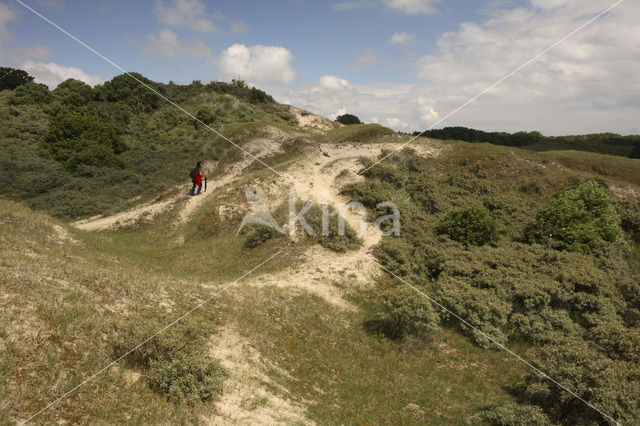 Zeepeduinen