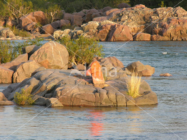 Betwa river