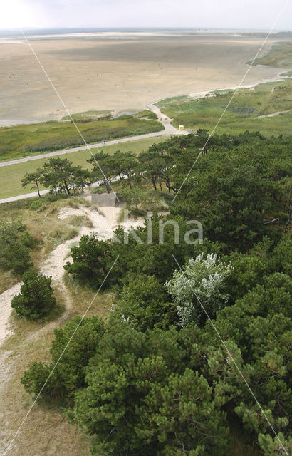 Het Groene Strand