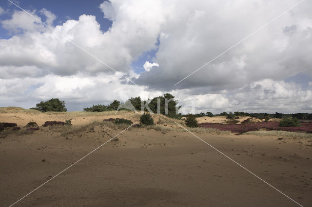 Nationaal Park Drents-Friese Wold