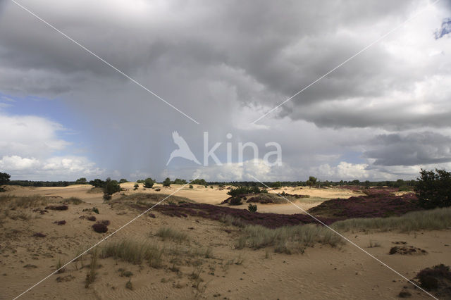 Nationaal Park Drents-Friese Wold