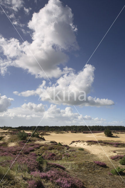 Nationaal Park Drents-Friese Wold