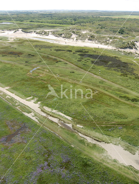 Nationaal Park Duinen van Texel