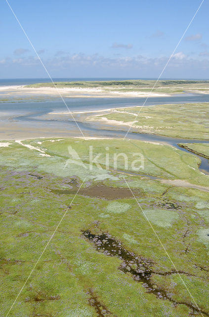 Nationaal Park Duinen van Texel