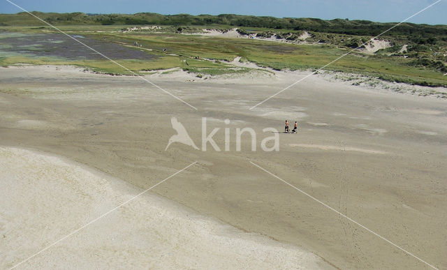 Nationaal Park Duinen van Texel