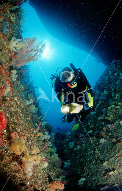 Similan Islands National Marine Park