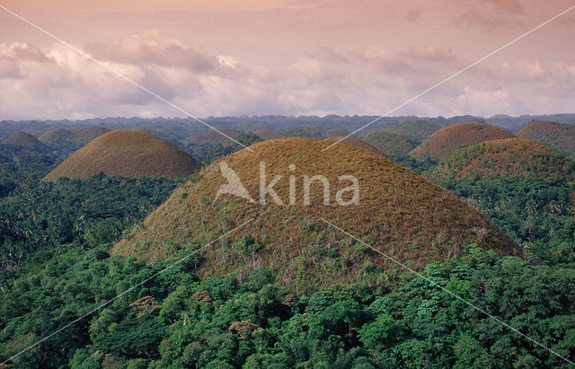 Chocolate Hills