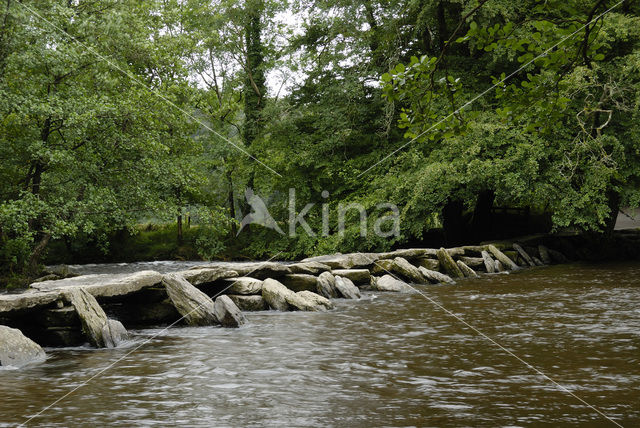 Exmoor National Park