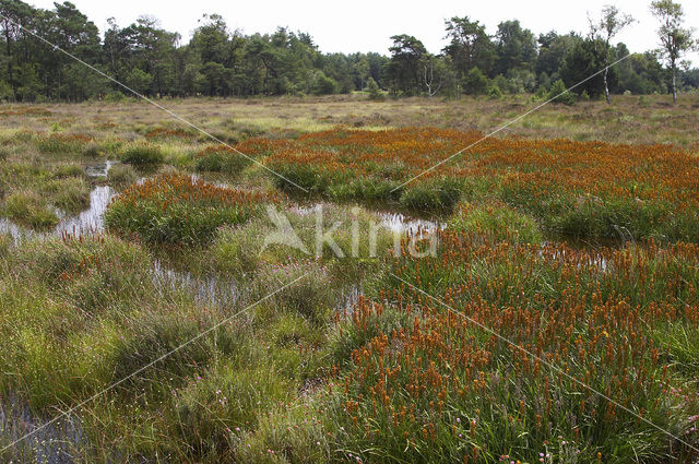 Leemputten Staverden