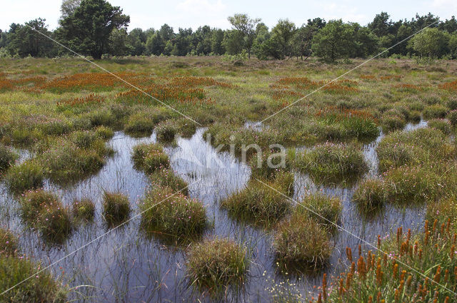 Leemputten Staverden