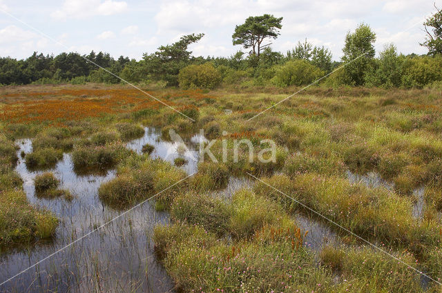 Leemputten Staverden