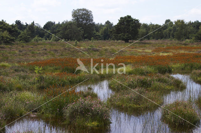 Leemputten Staverden