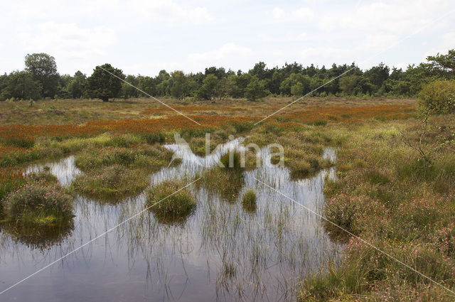 Leemputten Staverden