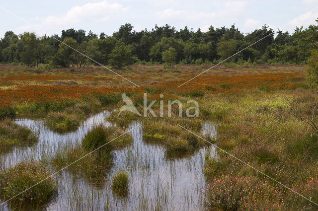 Leemputten Staverden