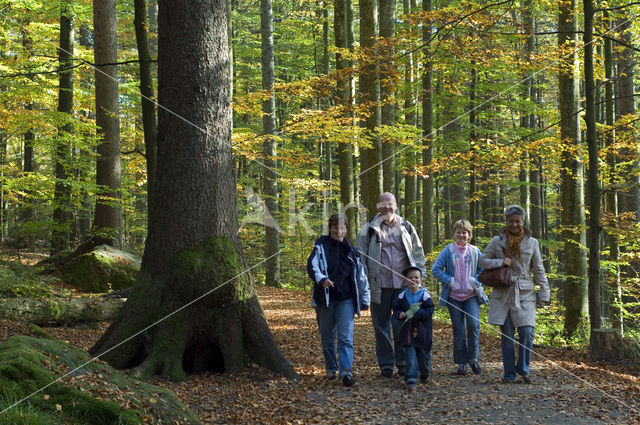 Nationaal park Beierse Woud