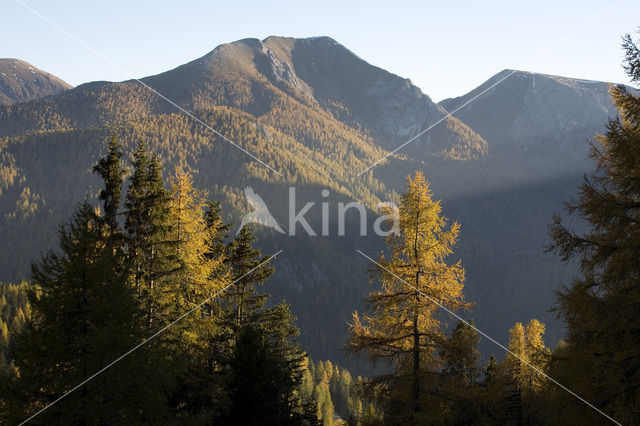 Nationaal Park Nockberge