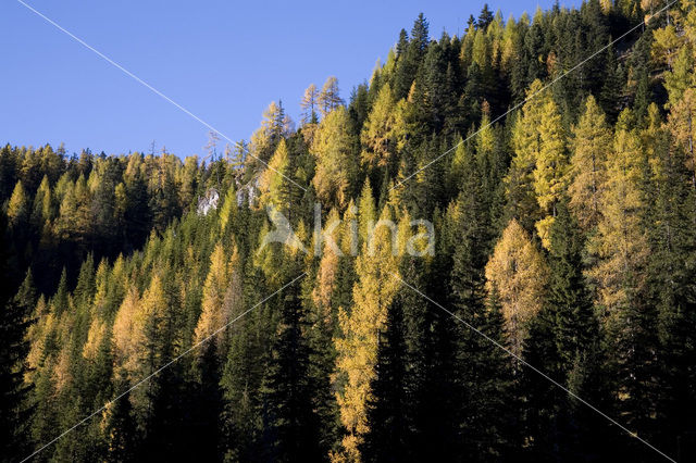 Nationaal Park Nockberge