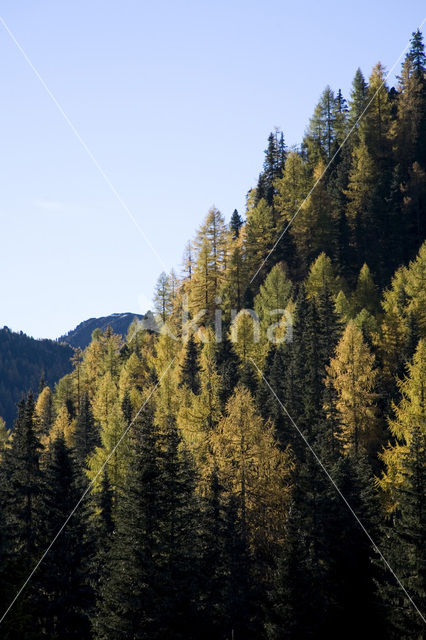 Nationaal Park Nockberge