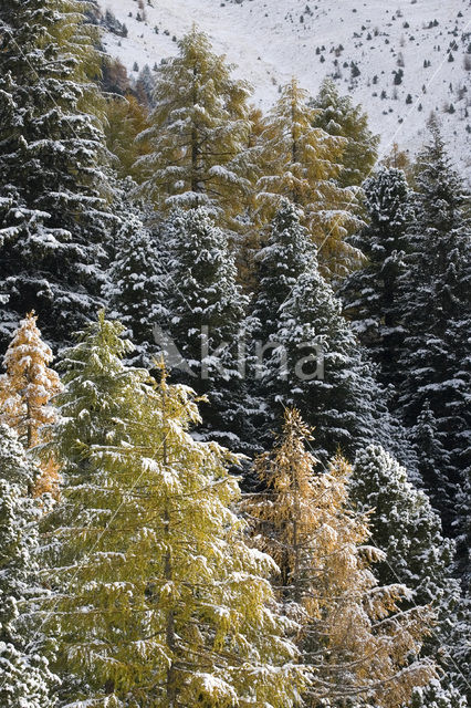 Nationaal Park Nockberge