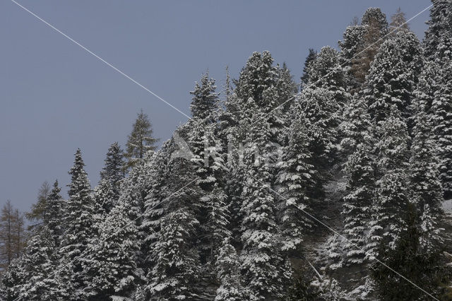 Nockberge National Park