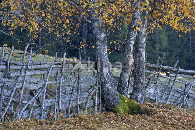 Nockberge National Park