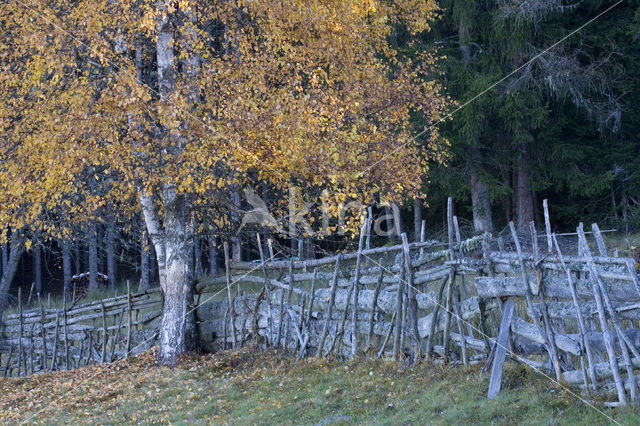 Nockberge National Park