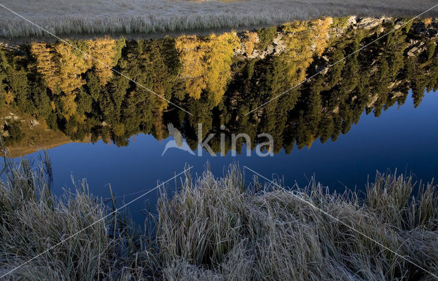 Nockberge National Park