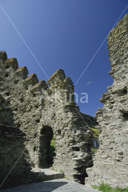 Tintagel Head