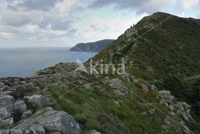 Valley of the rocks