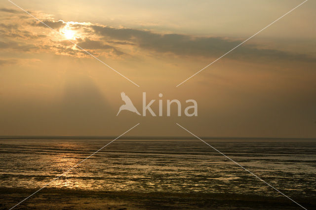 Waddenzee