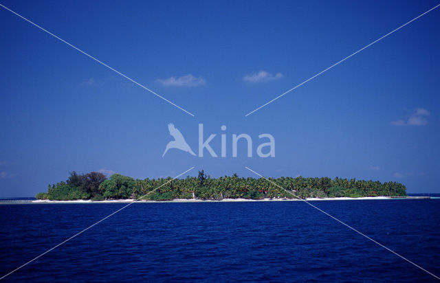 Ari Atoll