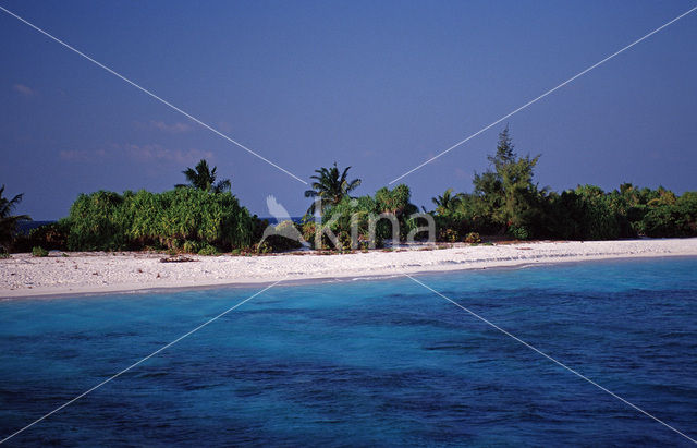 Ari Atoll