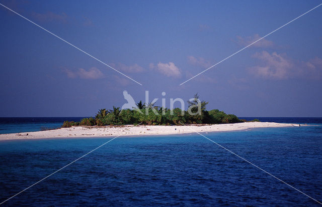 Ari Atoll