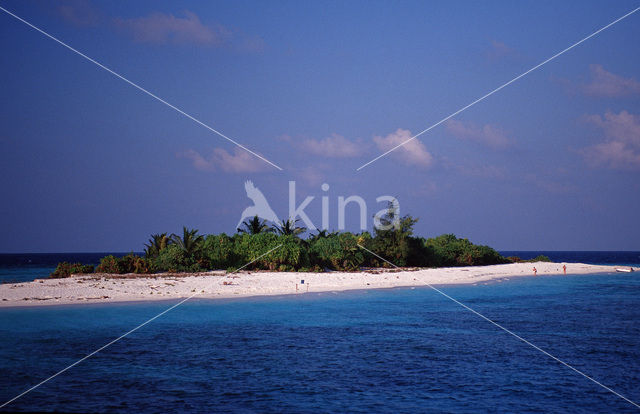 Ari Atoll