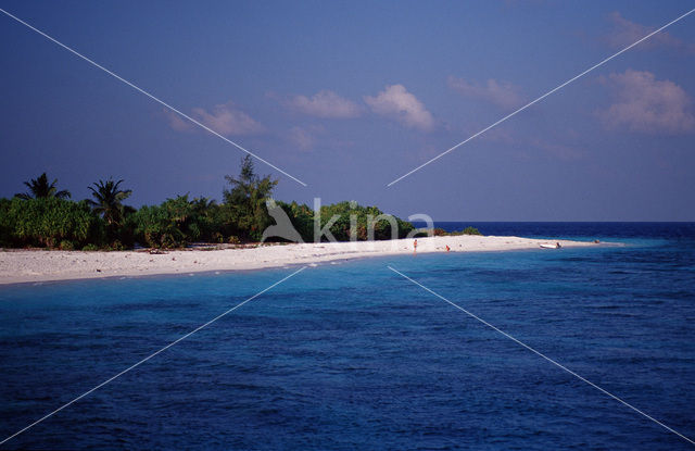 Ari Atoll