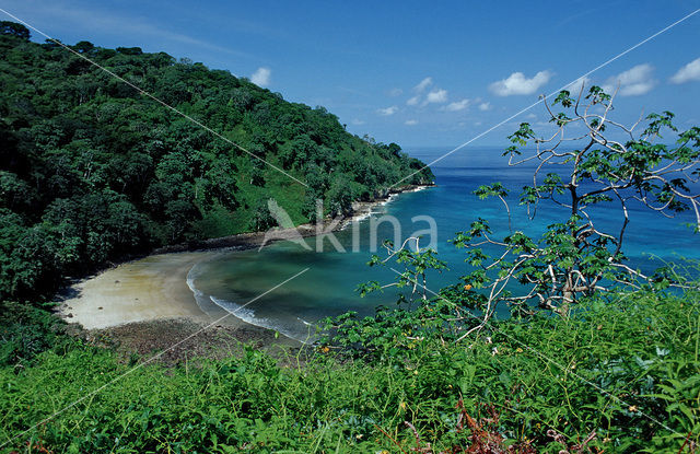 Cocos Island