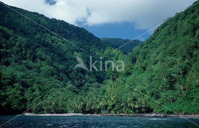 Cocos Island