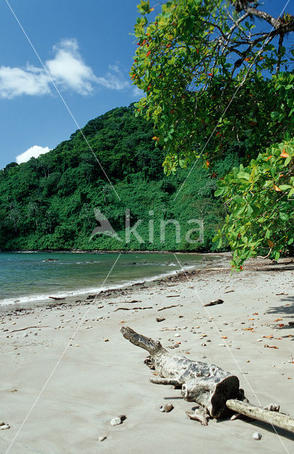 Cocos Island