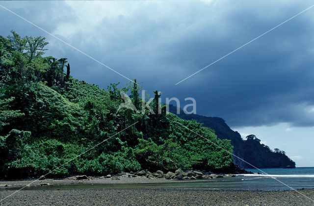 Cocos Island