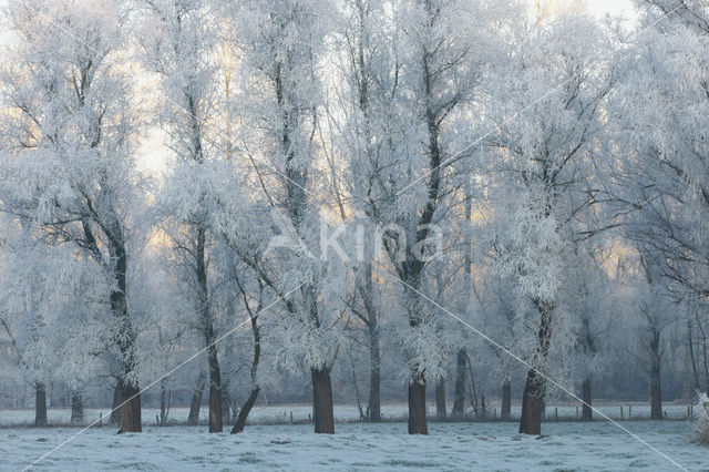 De Mortelen en Heerenbeek