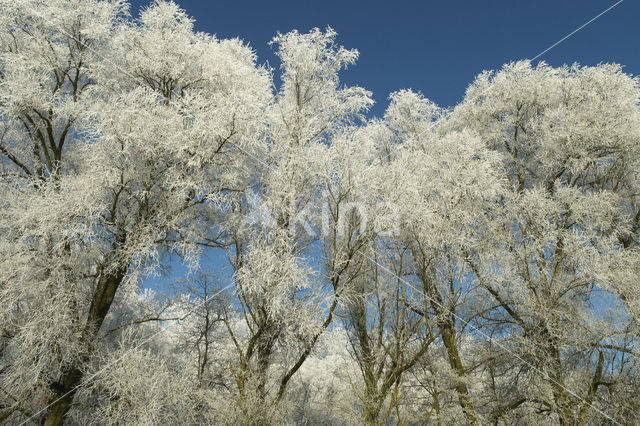 De Mortelen en Heerenbeek