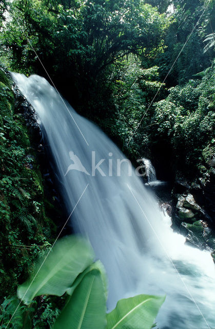 La Paz Waterfall Gardens