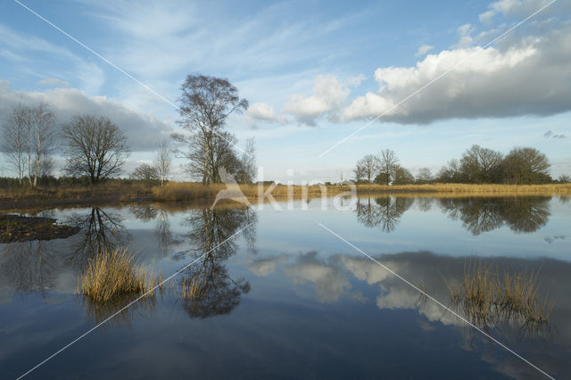 Landschotse Heide