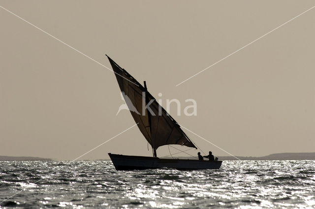 Banc d’Arguin National Park