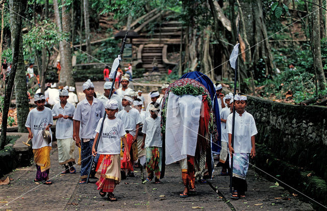 Sacred Monkey Forest Sanctuary