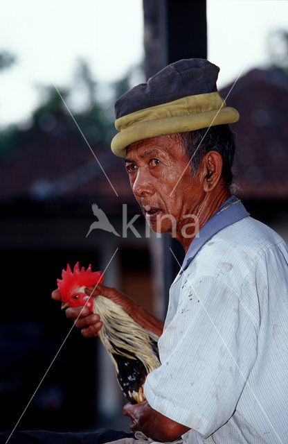 Ubud