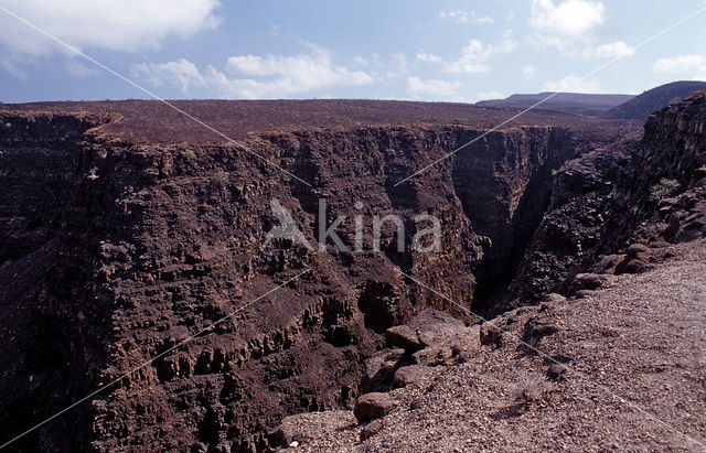 Afar Vallei