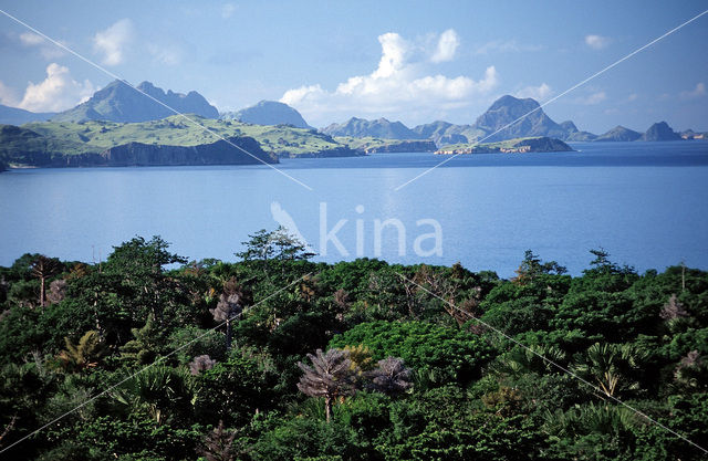 Komodo National Park