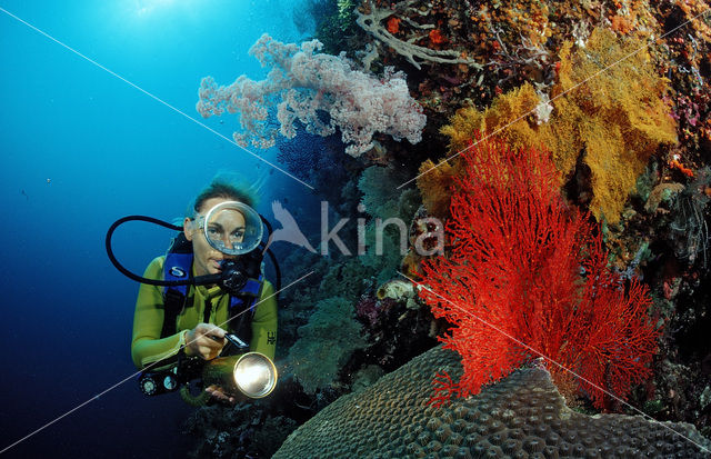 Nationaal Zeereservaat Wakatobi